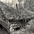 Homestead