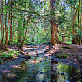 Mackey Creek